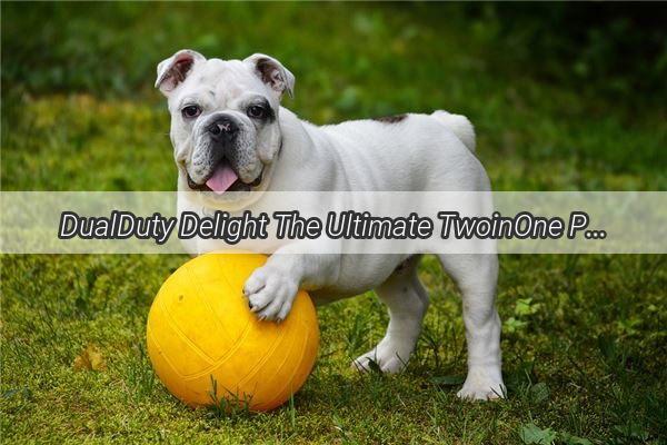 DualDuty Delight The Ultimate TwoinOne Pet Feeding Solution for Your Furry Friends